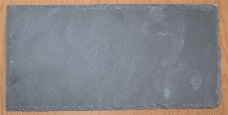 SBNF 1009N.jpg
